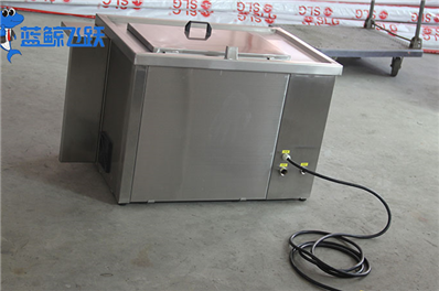 清洗无忧：超声波清洗器在食品生产中的卓越应用