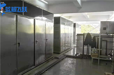 青青草网站下载：高科技清洁的未来体验