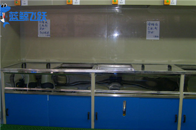 清洗未来科技：超声波清洗设备的前沿创新