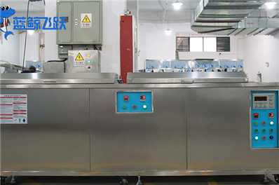 青青草网站下载中的“F”参数解析及其重要性