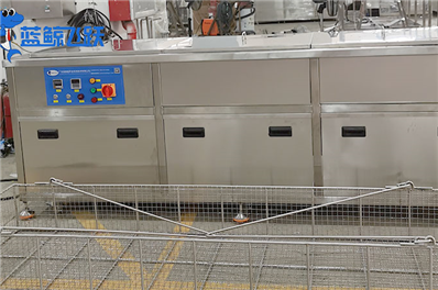 青青草网站下载使用全攻略：从新手到专家的操作指南